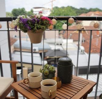 Vrnjacka Banja Apartamento | Adagio Apartmani