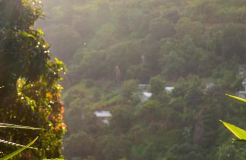 Newcastle Casa | Adella's Blue Mountain Coffee Farmstay
