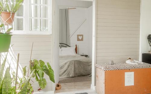 Newcastle Casa | Adella's Blue Mountain Coffee Farmstay