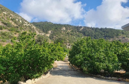Koili Casa | Adonis Palace Rooms and Bungalows