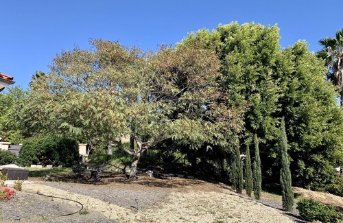 Rancho Santa Fe Cabaña | Adorable 2 Bedroom Guest House, 12 minutes from beach, 7 minutes from shopping