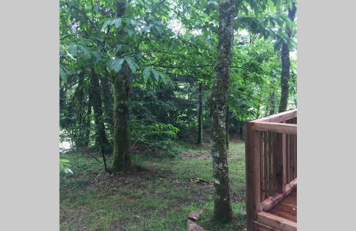Saint-Junien Casa | Adorable Cabane dans un espace boisé