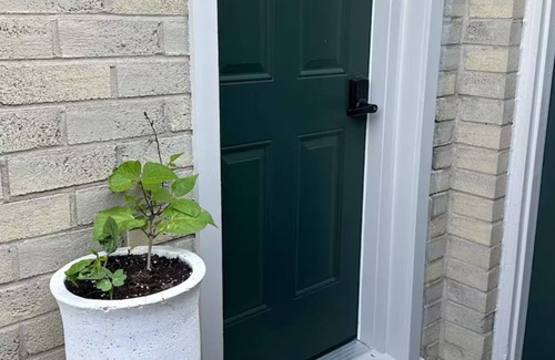 Guelph Apartamento | Adorable & Whimsical Brand New, 1 Bedroom Garden Bachelor Suite