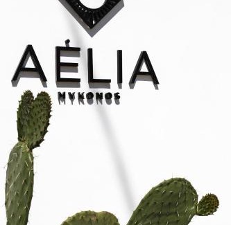 Ornos Hotel | Aelia Mykonos