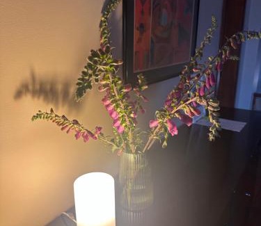 Maia Apartamento | aerOPOrto Guesthouse