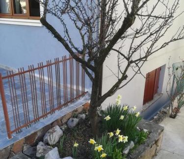 Cervignano del Friuli Casa | Affittacamere Stazione 24