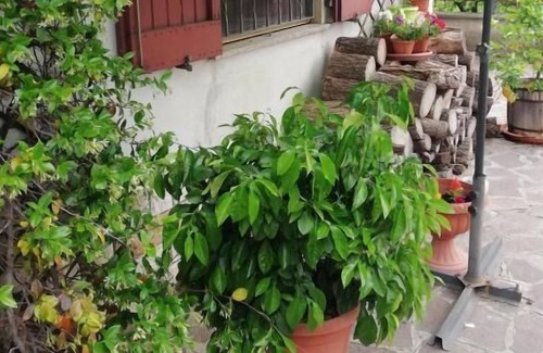 Olmeneta Casa | Affittacamere Ciro