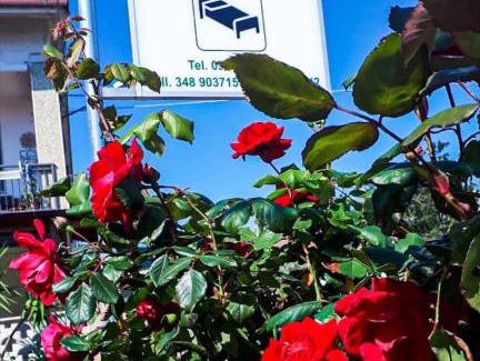 Roseto Capo Spulico Cama Y Desayuno | Affittacamere delle rose