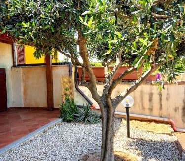 La Muddizza Apartamento | Affittimoderni Valledoria Ulivo