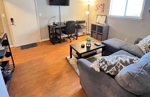 Rosedale Apartamento | Affordable Long-Term Work or Study Rental