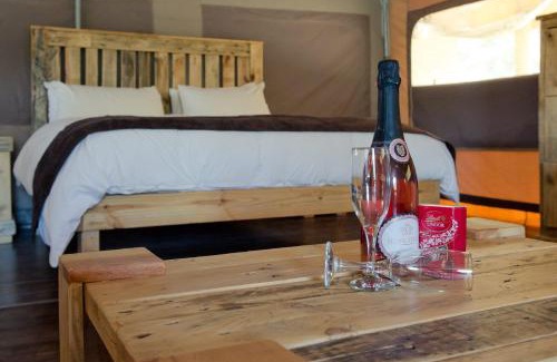 Scheepersrus Cabina | African Game Lodge