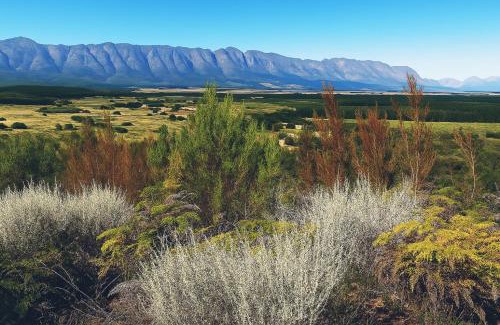 Tulbagh Otro | African Glamping Huts Plus Free Massage With Sauna And Hot Tub