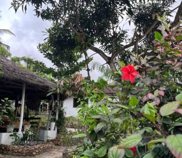 Kokrobite Complejo | African Treasure Gardens And surf Resort