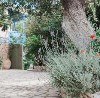 Agios Nikitas Apartamento | Afroditi Pansion