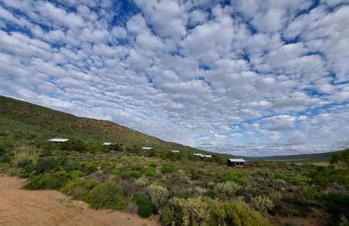 Kamiesberg Otro | Agama Tented Camp