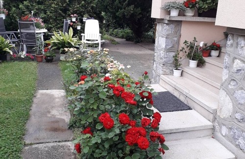 Sarospatak Casa | Agica Apartman- near the Thermal Water in Sarospatak