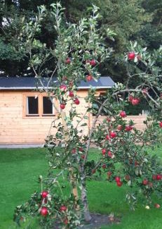 Baekke Casa | Agnes Bed and Breakfast