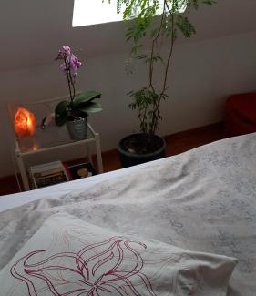 Nordstadt Casa | Agnes Vintage Home