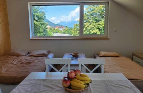 Ljubljana Apartamento | Agregat
