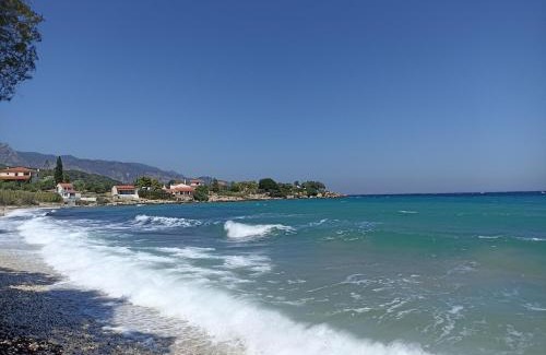 Samos Apartamento | Agria Rigani Studios