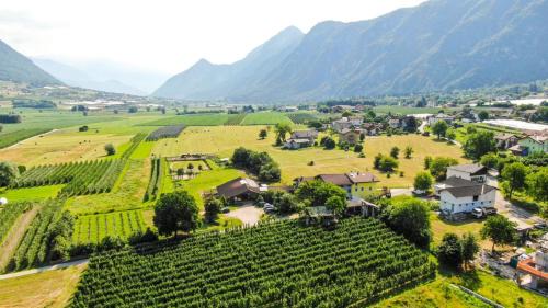 Barco Cama Y Desayuno | Agritur Airone Bed & Camping