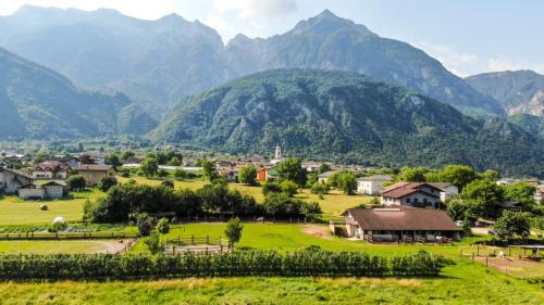 Barco Cama Y Desayuno | Agritur Airone Bed & Camping