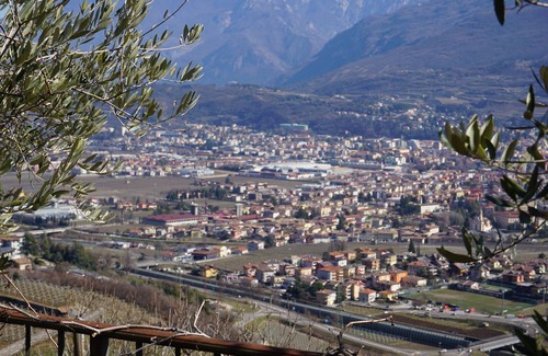 Isera Otro | Agritur Maso Carpené