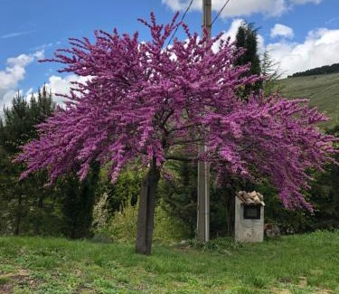 Santo Stefano Quisquina Casa | Agriturismo Serra Moneta