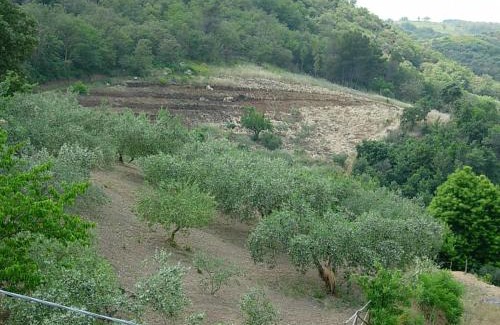 Santa Cristina Gela Casa | Agriturismo Al Poggetto