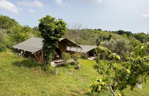Cossignano Otro | Agriturismo Angeli Sognanti