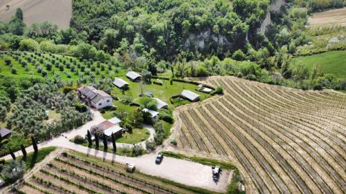 Cossignano Otro | Agriturismo Angeli Sognanti