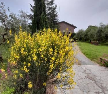 Chianciano Terme Casa | Agriturismo Campo Contile