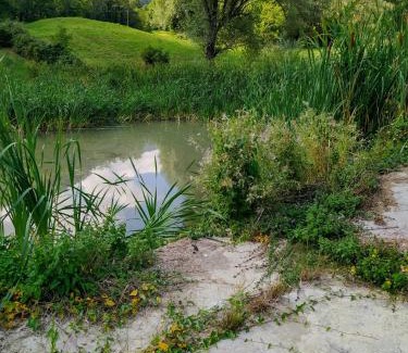 Selvapiana Apartamento | Agriturismo Coradosso "Il Fienile"