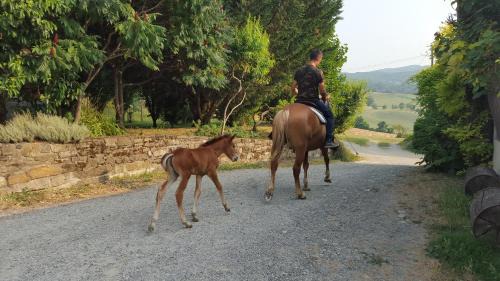 Bassano Sotto Casa | Agriturismo Corte del Gallo