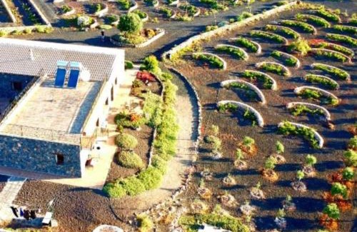 Puerto del Rosario Casa | Agriturismo El Bounty