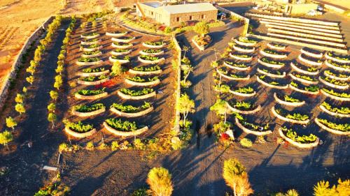 Puerto del Rosario Apartamento | Agriturismo El Bounty1