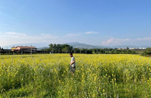 Pescantina Casa | Agriturismo Fior di Maggio