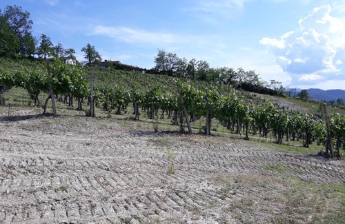 Lerma Apartamento | Agriturismo IL BIANCOSPINO Bed & Wine