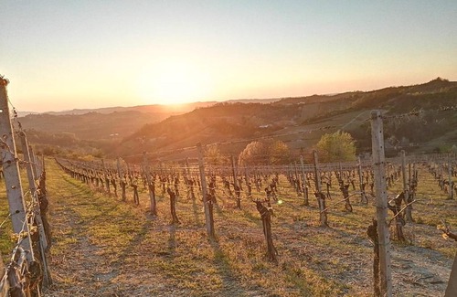 Lerma Apartamento | Agriturismo IL BIANCOSPINO Bed & Wine