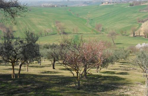 San Brizio Casa | Agriturismo Il Poggiolo