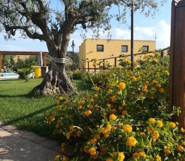 Calatafimi Casa | Agriturismo l'Olivo