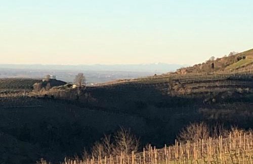 Monteforte d'Alpone Casa | Agriturismo la Preara