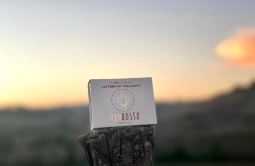 Siena Apartamento | Agriturismo La Terrazza sul Mangia