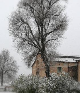 Fogliano Redipuglia Cama Y Desayuno | Agriturismo Le Giarine