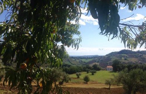 Caprafico Casa | Agriturismo Le Macine-Poggio Cono