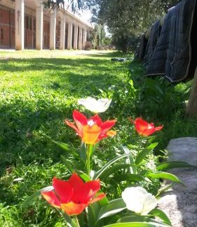 Bisceglie Casa | Agriturismo Le Vedute