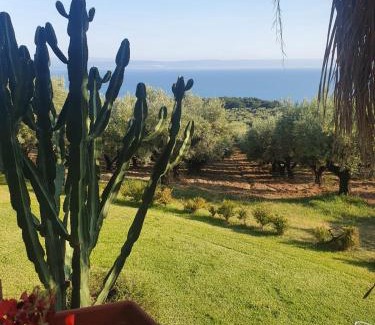 Gizzeria Casa | Agriturismo Parco degli Ulivi