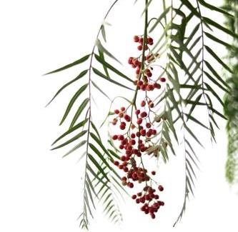 Rivoli Veronese Casa | Agriturismo Pepe Rosa