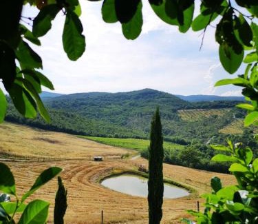 Allerona Casa | Agriturismo Selvella
