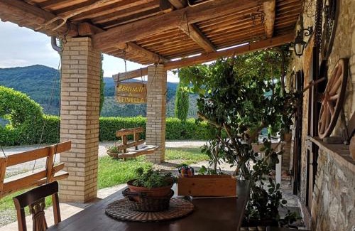 Allerona Casa | Agriturismo Selvella